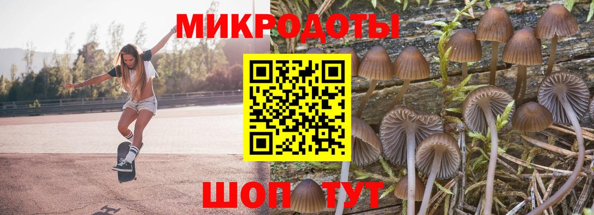 Владимир  Псилоцибиновые грибы мухоморы  Вход с VPN 